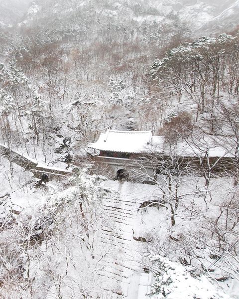눈 덮인 숲 속 성문과 성벽, 성문 앞 돌계단